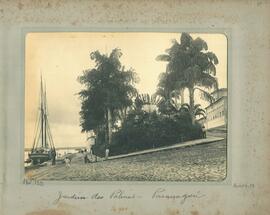Jardim das Palmas - Paranaguá