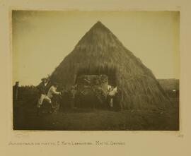 Amostras de mate, [Empresa] Mate Laranjeira, Mato Grosso