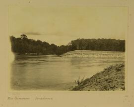 Rio Gurupary, Amazonas