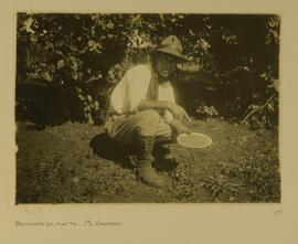 Semente de mate, Mato Grosso