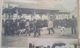 Passeio com cães na Exposição de 1908