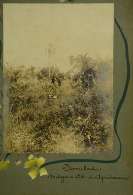 Derrubada ao chegar à Vila de Aquidauana