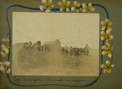 Open original digital objects