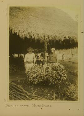 Pesando mate, Mato Grosso
