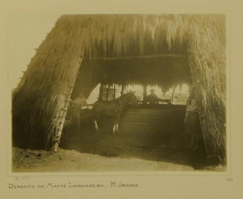 Open original objeto digital