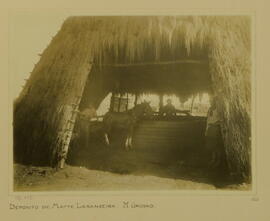 Depósito de Matte Laranjeira, Mato Grosso