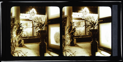 Open original objeto digital