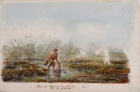 Open original digital objects