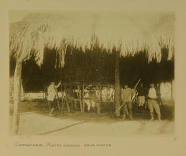 Campanário, Mato Grosso, Erva mate