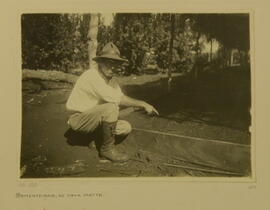 Sementeira de erva mate