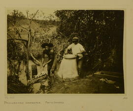 Procurando Diamantes, Mato Grosso