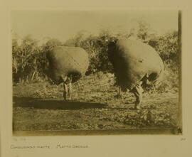 Conduzindo o mate, Mato Grosso