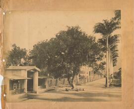 Jardim Botânico (RJ)
