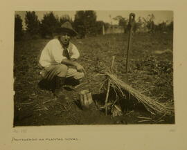 Protegendo as plantas novas
