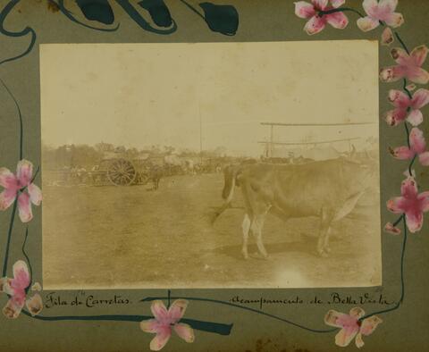 Open original objeto digital