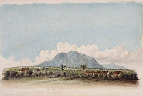 Open original digital objects