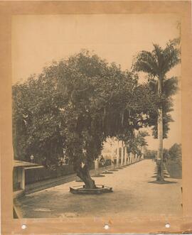 Jardim Botânico
