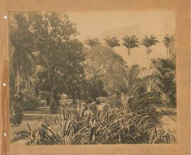 Jardim Botânico (RJ)