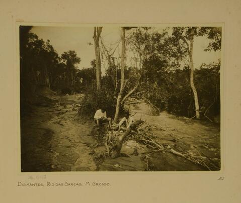 Open original digital objects