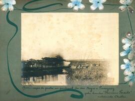 Distribuição de postes no pantanal dos rios Negro e Paraguay [Paraguai] pela lancha Floriano Peixoto rebocando chatas