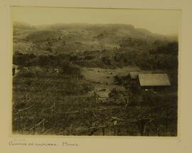 Campos de Culturas, Minas