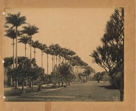 Jardim Botânico (RJ)