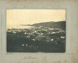 Antonina